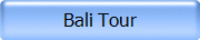 Bali Tour