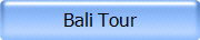 Bali Tour