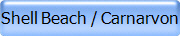 Shell Beach / Carnarvon