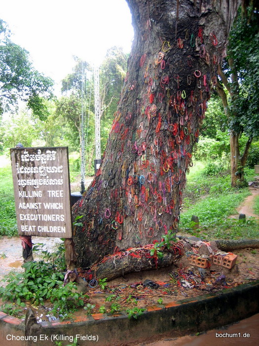 Baum der Killing-Fields