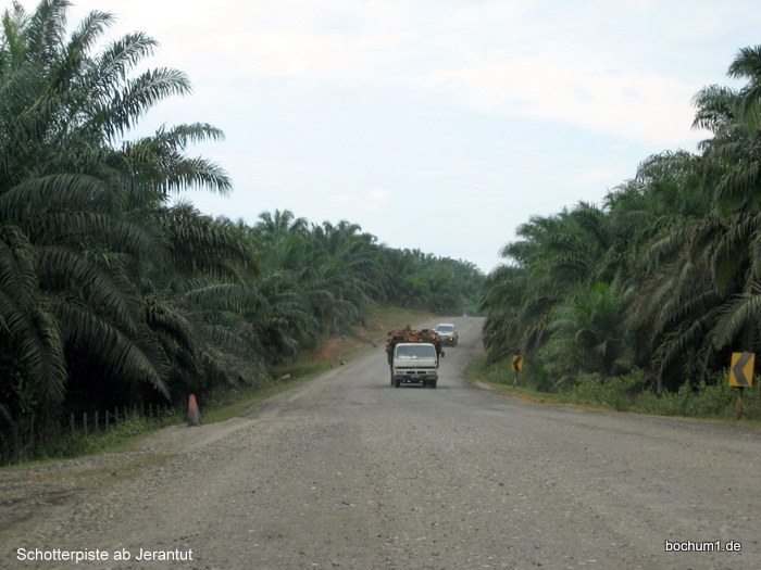 ....am Schluss nur noch Schotterpiste
