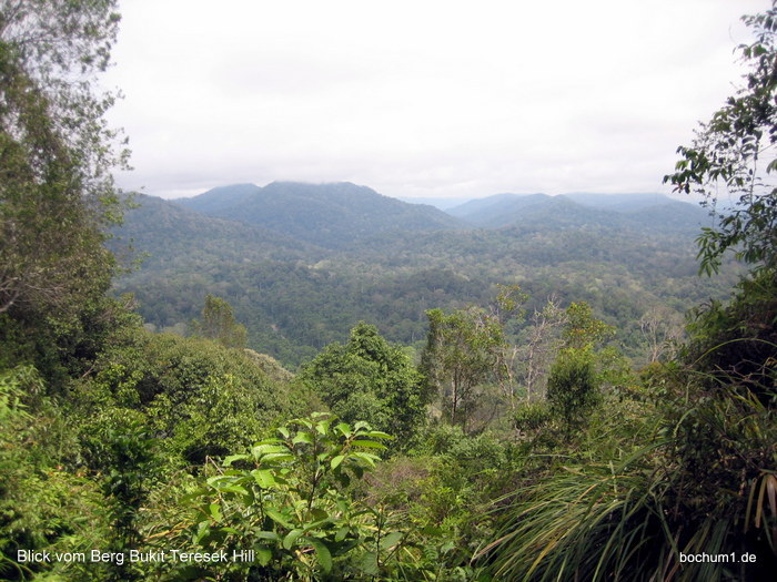 Blick vom Bukit Teresek Hill
