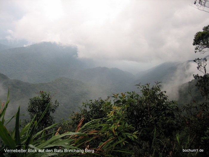 Aussicht vom Batu Brinchang