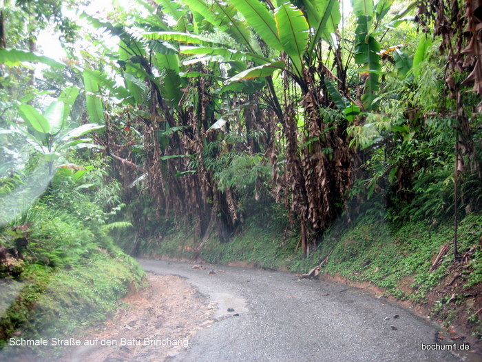 Schmale, steile Straße auf den Batu Brinchang