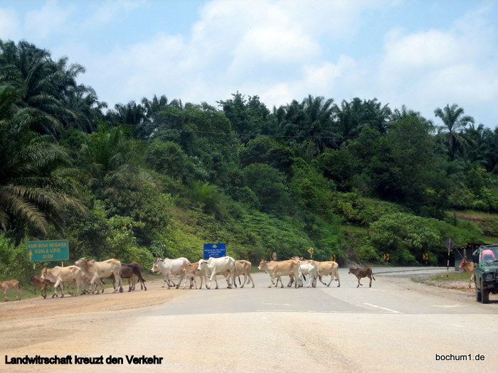 ..spontaner Querverkehr