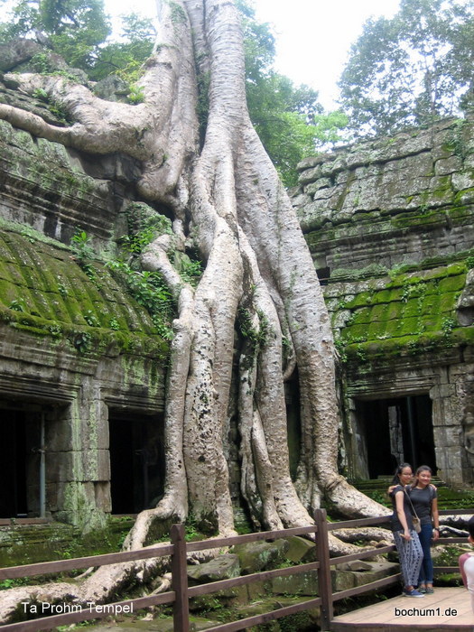 Ta Prohm