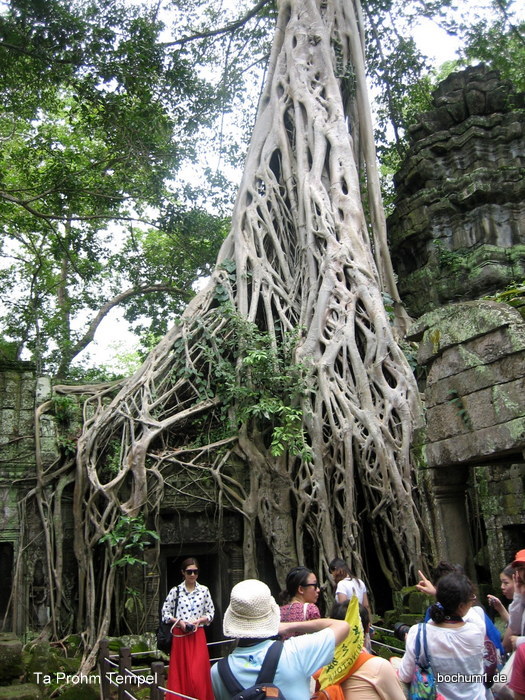 Ta Prohm