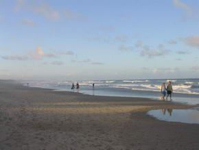 ...der endlose Strand in Richtung Sden in Coolum Beach