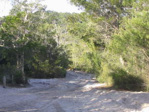 Piste durch den Regenwald