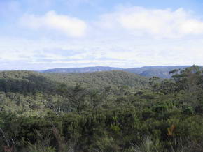 Aussicht von der Bell Line of Road auf das Gros Valley