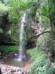 Crystal Shower Falls