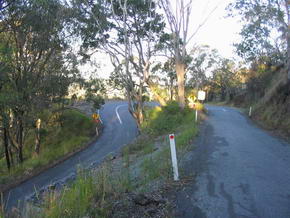 ...die Serpentinenstrasse zum Lamington Nat. Park