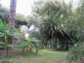 Garten der Villa Borghese