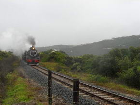 Choo Tjoe Train bei Wilderness