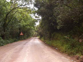 Irgendwo auf der Old Knysna George Road