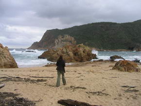 Der keine Strand bei "The Heads"