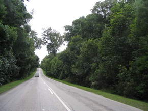 N2 fhrt durch die Tsitsikamma National Park