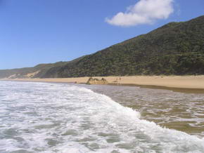 noch mal der Strand von Brenton on Sea