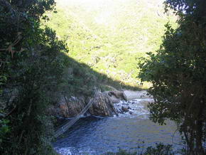 Suspension Bridge im Tsitsikamma Park