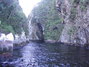 Storms River Mouth - Schlucht, ber welche sich die Hngebrcke spannt