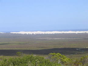 Der De Hoop Nationalpark mit den Dnen im Hintergrund