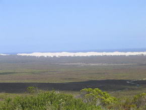 Der De Hoop Nationalpark mit den Dnen im Hintergrund