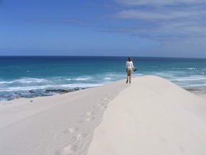 ...und weil der Park so klasse ist und ich kein Bild aus Mossel Bay habe nochmal die Dnen...