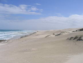 Dnenlandschaft im De Hoop Nationalpark