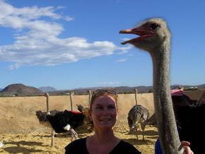 Susanne und der Strauss