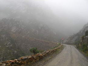 Die Sdseite des Swartberg Pass im Nebel