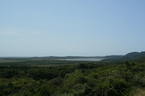 Ausblick vom Mission Rocks Viewpoint zur Landseite
