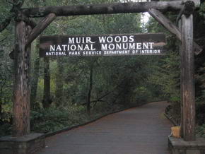Eingang zum Muir Woods N. M.