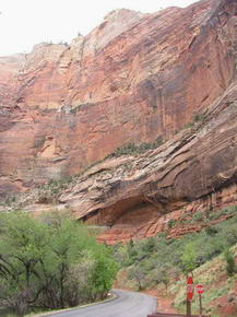 Zion National Park - Blick auf die Felsen von unten