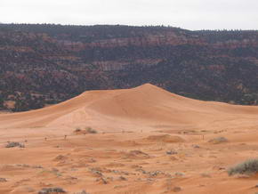 Coral Pink Sand Dunes National Park