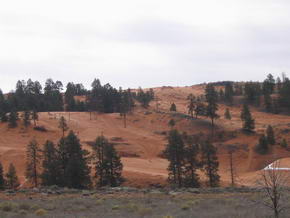 Coral Pink Sand Dunes National Park