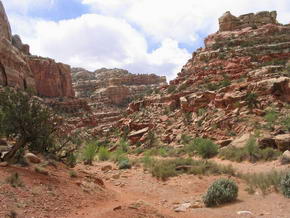 Wanderung durch den Grand Wash im Capitol Reef National Park 