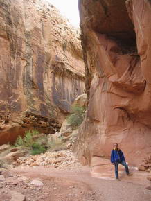 Wanderung durch den Grand Wash im Capitol Reef National Park 