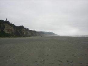Gold Bluffs Beach