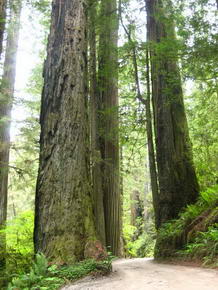 Howland Hills Scenic Drive