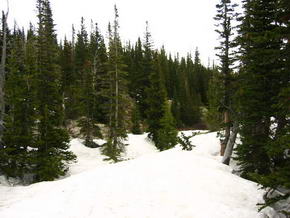 Tiefer Schnee in den Rockys Ende Mai.....