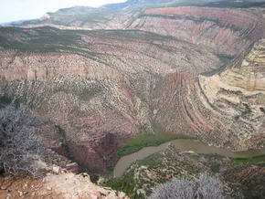 Harpers Corner in Dinosaur N.M.