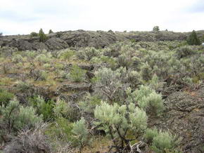 Hells Arce Nat. Landmark