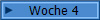 Woche 4