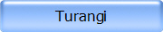 Turangi