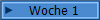 Woche 1